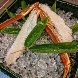 活蟹のお造り  活蟹コースのメニューとなっております