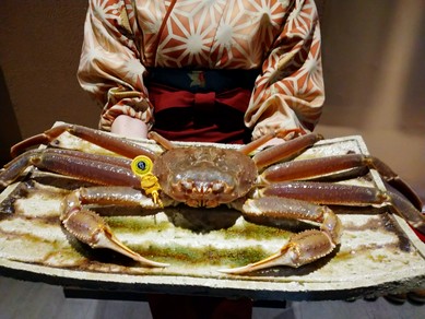 福井県産越前蟹(活蟹コース承ります。詳しくはお問い合わせください。)