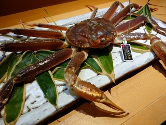 庄内北前蟹(活蟹コース承ります。詳しくはお問い合わせください。)