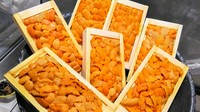 雲丹を一人1枚使った
贅沢なお鍋となります。

うにを溶かした、黄金色の出汁で
新鮮な貝や魚をしゃぶしゃぶして下さい。
鮮魚も厳選されたものを仕入れます‼
〆は雲丹雑炊で‼
極上の体験をどうぞ♪
