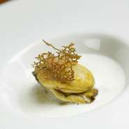 料理は、会話の邪魔にならないようなポーションで盛り付けられています。牡蠣が美味しい季節には、ソースに浮かべるように提供されることも。牡蠣をそっといただきながら、会話を楽しみましょう。