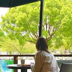 開放感あふれるテラスで自然に包まれた時間