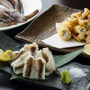 活け締めで仕入れる、長崎県対馬産の地穴子を使用。江戸前よりも一回り大きく臭みのない穴子は店でさばかれ、白焼きのほか、刺身、しゃぶしゃぶ、天ぷらで味わうことができます。調理法によって変わる味を楽しんで。