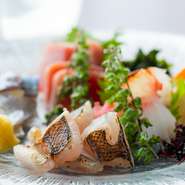 彩りよく盛り付けられたお造りは、その日に入荷した鮮魚の中から特に良い物を厳選。魚の種類や状態に合わせて包丁の入れ方を変えたり炙りにしたり、素材の美味しさを最大限に活かすための職人技がキラリと光ります。