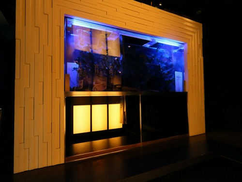 個室に設えたアクアリウム