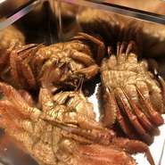 蟹を豪快にガンガン焼きで味わいつくす、人気の食べ放題コースです。
たらこ・明太子・ご飯も食べ放題
※入荷状況・水揚げ状況により蟹の種類等が変更になります。ずわい蟹脚のみになる場合がございます。