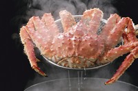 水槽から活きた蟹を調理します。茹で・焼き・刺身などお好みの調理で提供！
価格は時価となります。