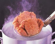 水槽から活きた蟹を調理します。茹で・焼き・刺身などお好みの調理で提供！
価格は時価となります。