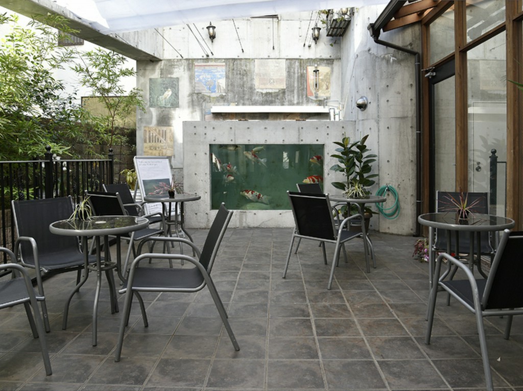 季節の移ろいを感じられる、錦鯉が優雅に泳ぐテラス席も人気