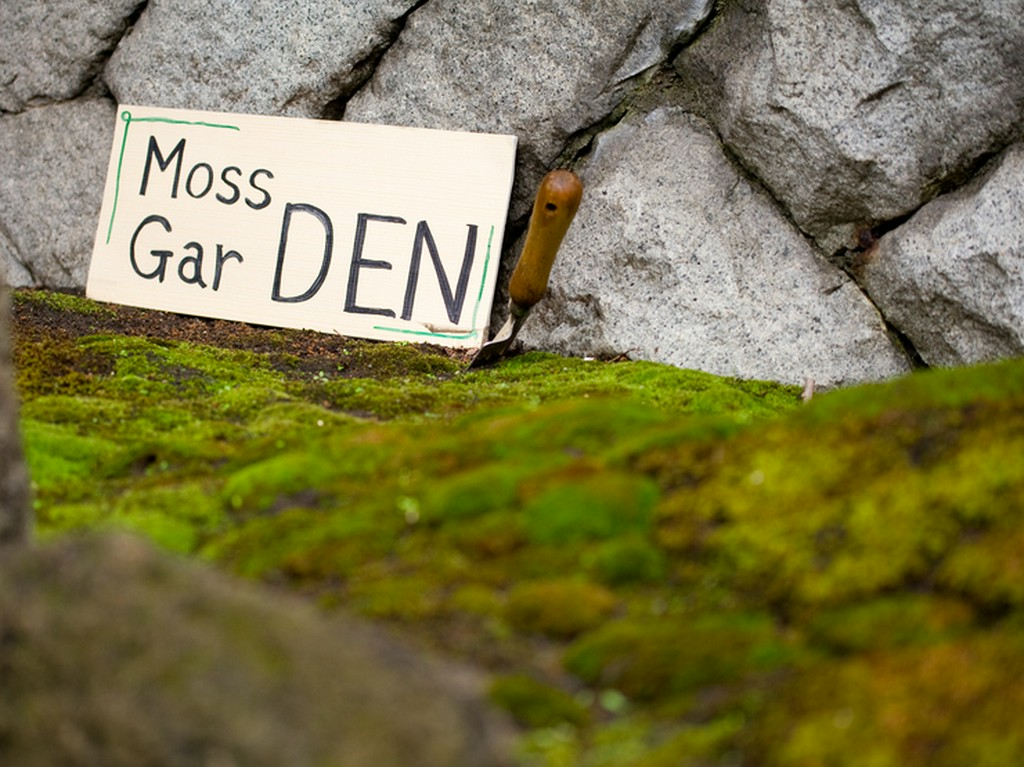 デザートにも登場する苔の庭、Moss Gar DEN