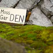 デザートにも登場する苔の庭、Moss Gar DEN