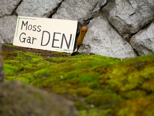デザートにも登場する苔の庭、Moss Gar DEN