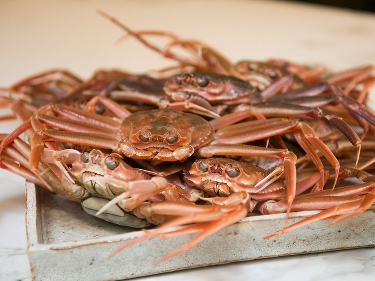 山海が育んだ、日本が誇る天然素材の数々