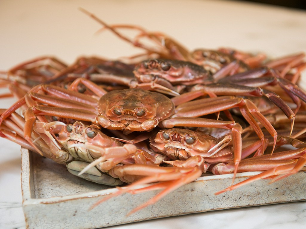 山海が育んだ、日本が誇る天然素材の数々