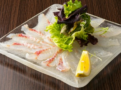 広島県で贅沢グルメが味わえる ヒトサラ ヒトサラ