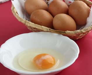 ランチタイム限定『ふわっふわオムレツ』の卵は「やまぶき」