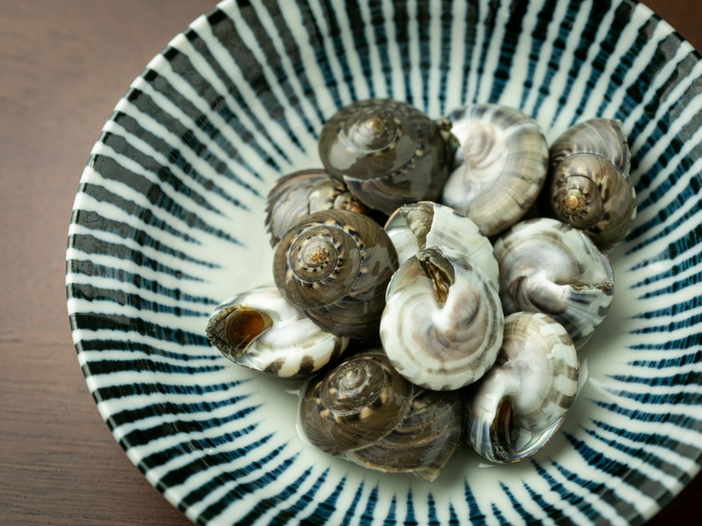 貝の旨みがたまらない『九十九里より　ながらみ貝の塩茹で』