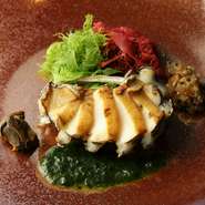 鮑は軽くソテーし香りを立たせ、肝のほろ苦さやコリッとしたひもの食感なども合わせて楽しみます。活鮑以外にオマール海老やうちわ海老など、その日仕入れた魚介から主役となる食材を厳選しています。