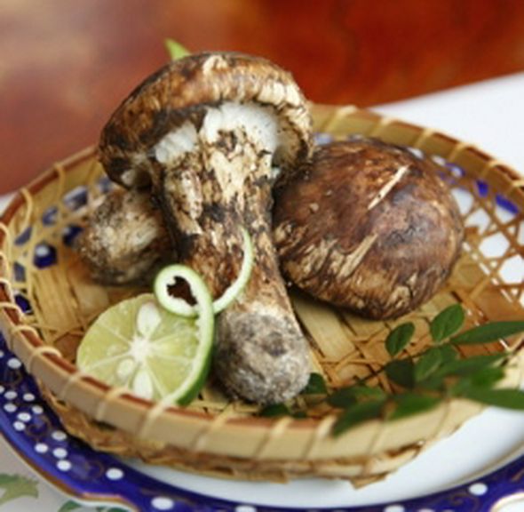 [個室完備!!]秋の味覚を… 3.5時間飲み放題付き!! 松茸堪能コースは9月12日開始!!