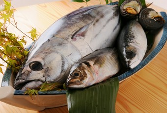 【活鮮!!海の幸 】地物 鰹(かつお)