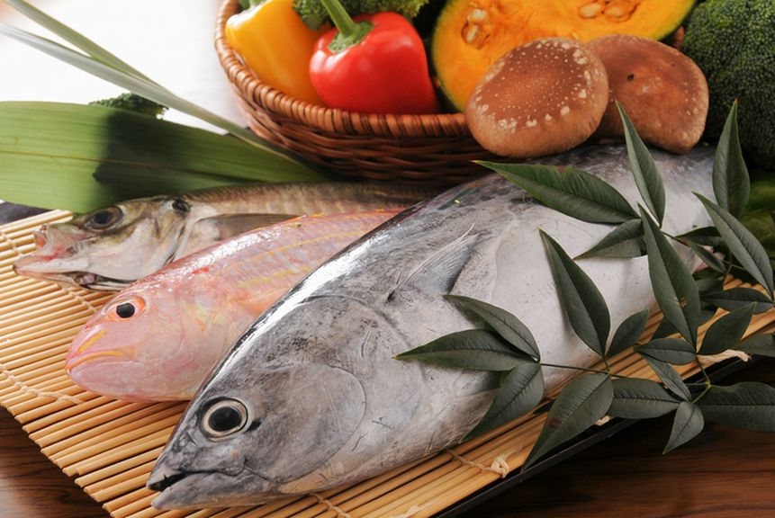 高知の旬の食材を使ったお料理