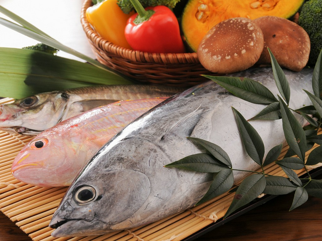 高知の旬の食材を使ったお料理