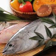 毎日のオススメで、旬を感じる高知の海の幸もお出ししております。もちろん、カツオのタタキもございますので、県外からお越しの方もお気軽にご来店下さい。