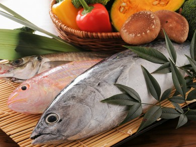 高知の旬の食材を使ったお料理