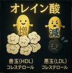 松阪牛など高級な和牛に多く含まれる、脂肪酸の中でも融点の低い脂です。
四万十麦酒牛の特徴もスッととろける食感で強い旨味。熱を帯びると香り高く、後味はすっきりしています。
また抗酸化作用があり美容効果も♪
