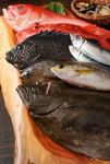 キハダマグロ、ビンチョウマグロ、メバチマグロ、本マグロ、ナイラゲ、バショウカジキ、シマアジ、カンパチ、ヒラマサ、ブリ、ハマチ、ツムブリ、アカムロ、セイメイ、トビウオ、真鯛、金目鯛、石垣鯛 など他多数