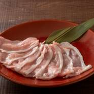 ハーフサイズもあります