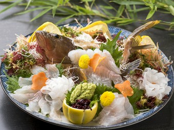 淡白な白身の上品な味わいを楽しむ『活あこう姿造り』