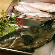 魚は鮮魚専門店に店主自ら足を運び、良質なものを厳選して仕入れています。野菜も青果店へ赴いて、鮮度の良さをきちんと目で確認。旬のものを中心に、珍しい食材などもどんどん取り入れているそうです。