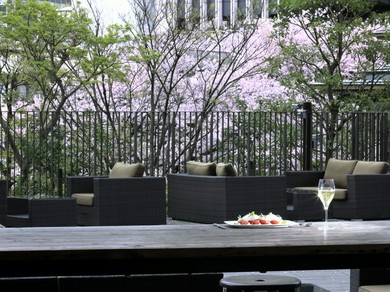 春のテラスで桜を愛でながらお食事