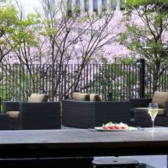 春には桜を愛でながら食事を楽しめる、心地良いテラス席も人気