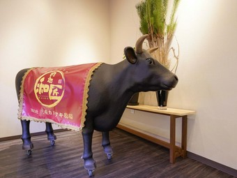 生後10ヶ月の頃で届けられる「カドワキ牛」