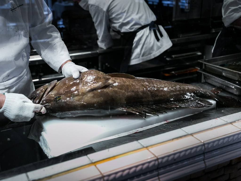 唐津から直送される活魚をシェフ自ら放血し、神経締めに