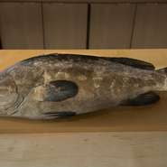 ネタとなる魚は、産地直送を含め、主に福岡、九州産を中心に厳選しています。現地へと足を運び、どんな魚を取れるかだけでなく、漁師の熱意や仕事を見極めたうえで食材を選んでいます。
