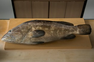 現地まで足を運び、生産者の熱意や仕事に触れる