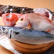 「魚介」は玄界灘産のものを中心に「肉」「野菜」は、全国から状態の良いものを厳選して仕入れ。毎朝仕入れていて、新鮮で素材そのものが持つ旨みを最大限に味わえます。地産地消が楽しめるのも嬉しいポイントです。