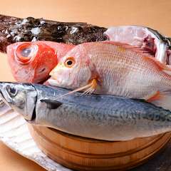 日本各地から仕入れた「厳選食材」を心行くまで堪能する