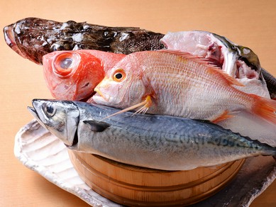 日本各地から仕入れた「厳選食材」を心行くまで堪能する