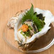 北海道サロマ湖から直送された新鮮な牡蠣が使われているため、生食をおすすめ。ギュッと旨味の詰まった牡蠣を一口でいただけば、濃厚な美味しさが口の中一杯に広がります。