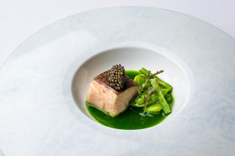 山口県 サワラと緑のコンビネーション