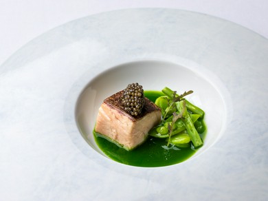 山口県 サワラと緑のコンビネーション