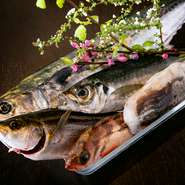 神戸中央卸売市場を中心に、捕れたての鮮魚を仕入れている【わさびと魚】。70年以上の経験のある魚屋ならではの目利きで、高品質な素材を厳選しているそうです。はしりものを積極的に仕入れるのも、店のこだわり。