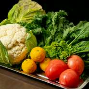 シェフ自らが足を運び、自分の目で選ぶ地元の新鮮野菜や、高知県から直送される鮮魚といった厳選食材が使われています。春なら菜の花やフキノトウ、春キャベツなど、季節を感じる食材をふんだんに使用。