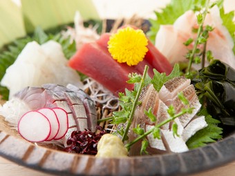 魚ばる 澤 本八幡 居酒屋 ヒトサラ