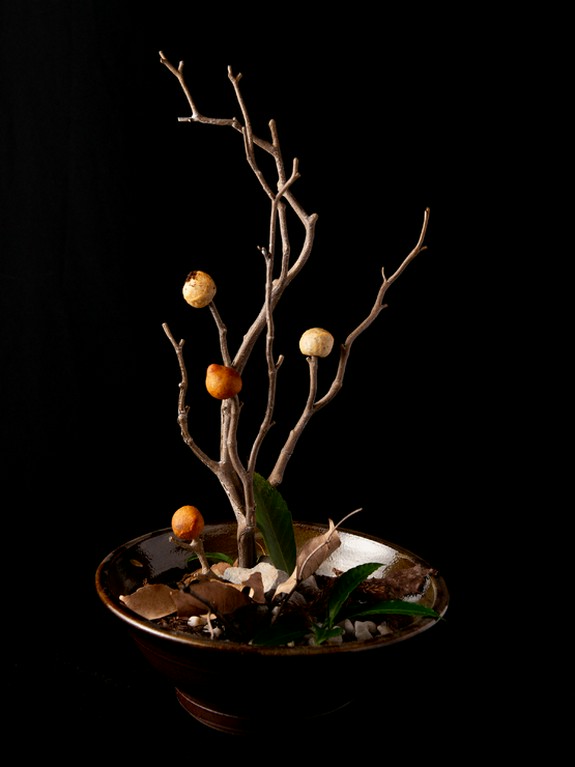 シェフの遊び心溢れる一皿『ブータンの実』