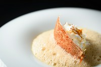 北海道の季節を愛でていただく10皿構成の季節のおまかせコース
仕入れ状況や、食材のコンディションを毎日考慮し仕上げていくシェフ大原の渾身のコースをお楽しみください
